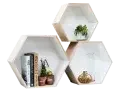 Services-design And Decoration
