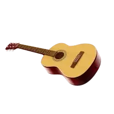 Musical Instruments-guitars