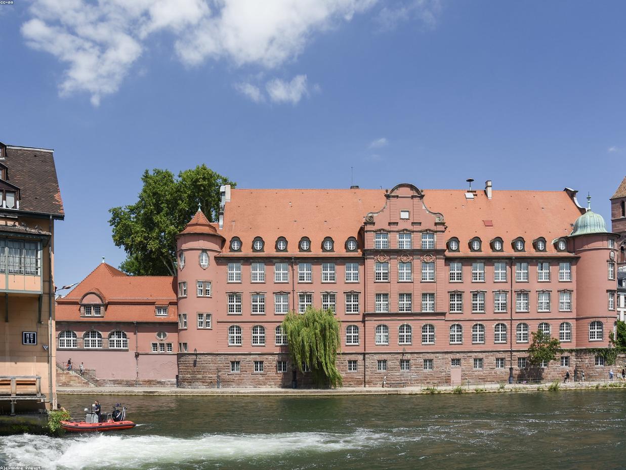 إعلان تجريبي فلل 10